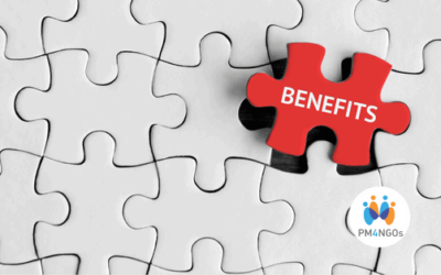 Benefits generated by PM4NGOs for a Syrian NGO