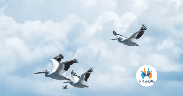 Global Migration’s Impact and Opportunities for Project Management