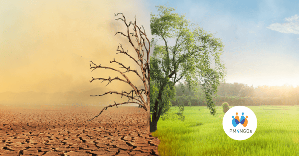 The value is in the small change