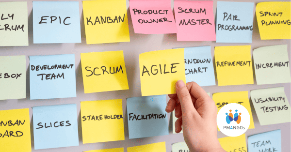 Agile in International Development