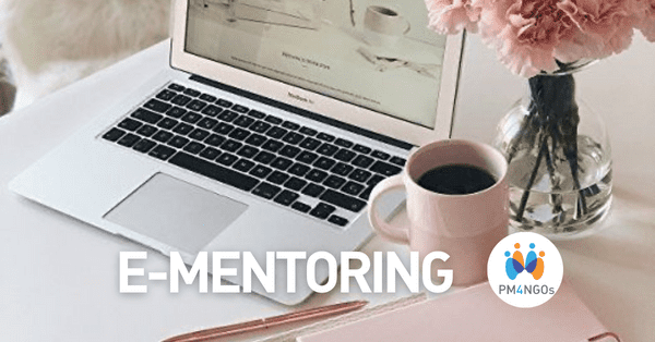 Mentoring without borders