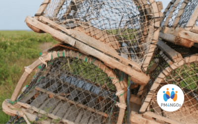 Four traps that can lead to project failure