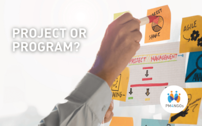 Are you managing a project or a program?
