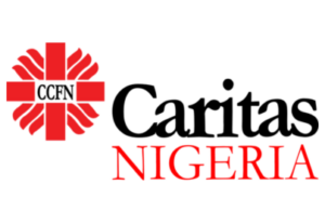 Caritas Nigeria PM4NGOs Training Partner 300x206