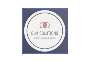 Cornerstone Leadership and Management Solutions PM4NGOs Partner 300x206