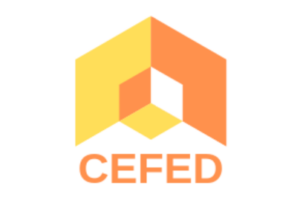 CEFED PM4NGOs Training Partner 1 300x206